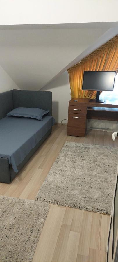 Central Palace Iasi Apart 2 Εξωτερικό φωτογραφία