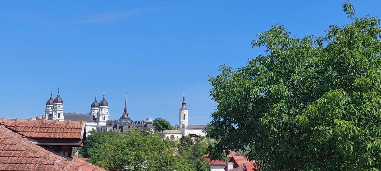 Central Palace Iasi Apart 2 Εξωτερικό φωτογραφία